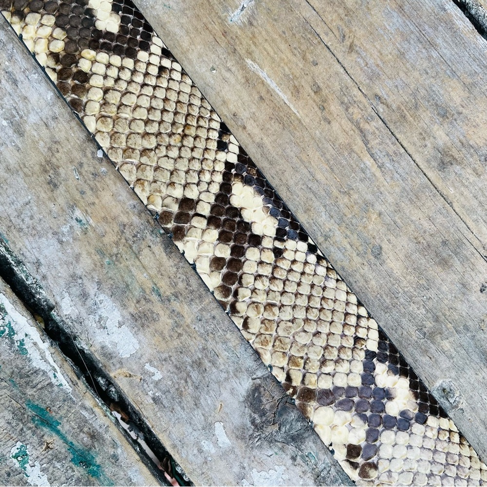 WCM Python leather Adjustable belt - Picture 15 of 16